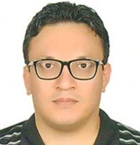 حامد نیکوپور