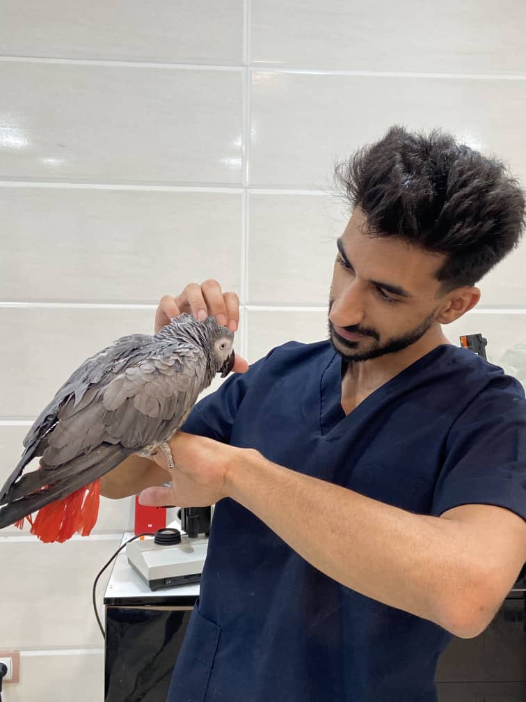 کلینیک دامپزشکی اردیبهشت