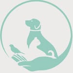 درمانگاه و کلینیک دامپزشکی نوین