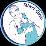 کلینیک فلی وت