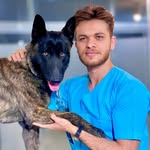 کلینیک دامپزشکی وین