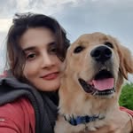 کلینیک دامپزشکی وت